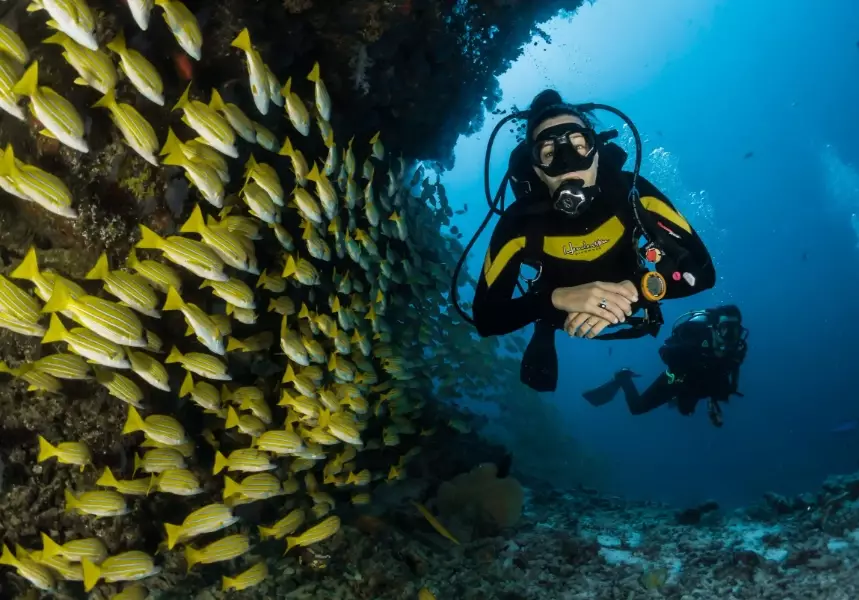 beginner scuba diving Thailand beginner scuba diving Thailand
