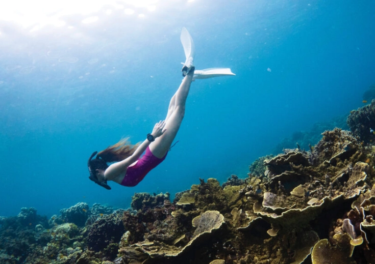 Thailand dive sites Thailand dive sites