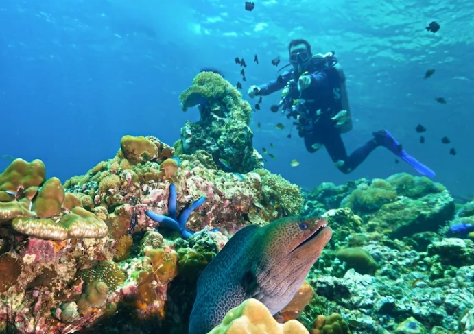 scuba diving insurance scuba diving insurance