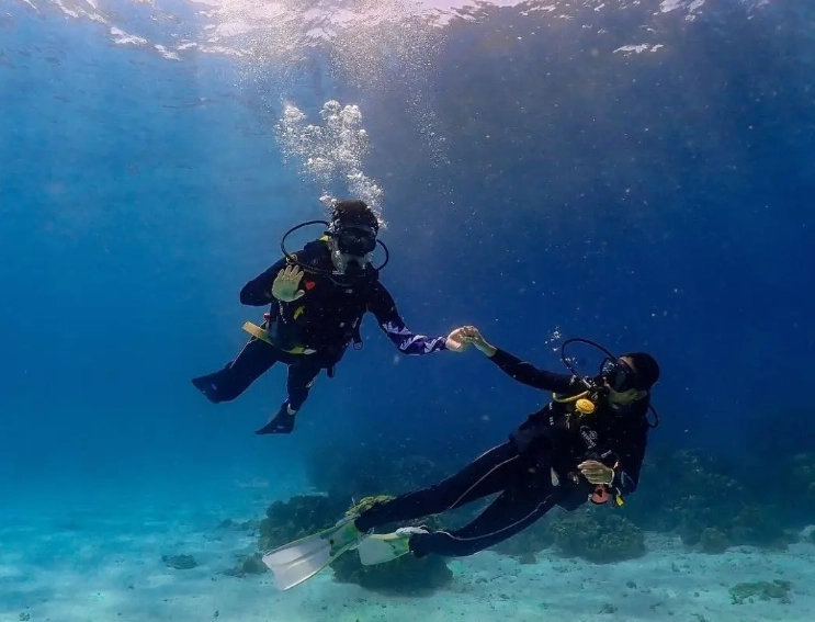 best dive sites for beginners best dive sites for beginners