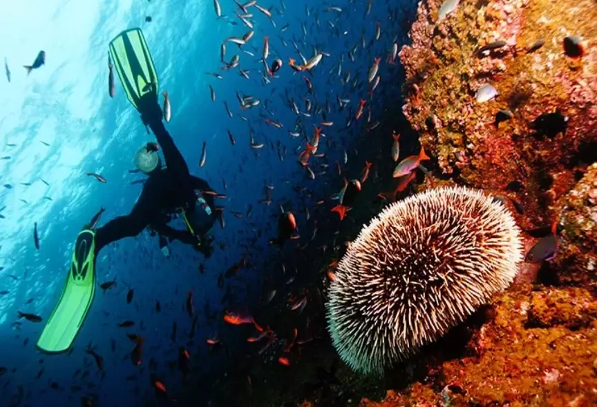 indoor skydiving indoor skydiving