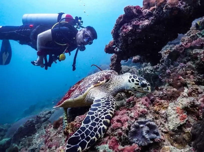 Thailand PADI courses Thailand PADI courses