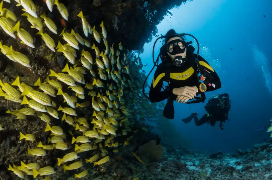 scuba diving in Thailand for beginners