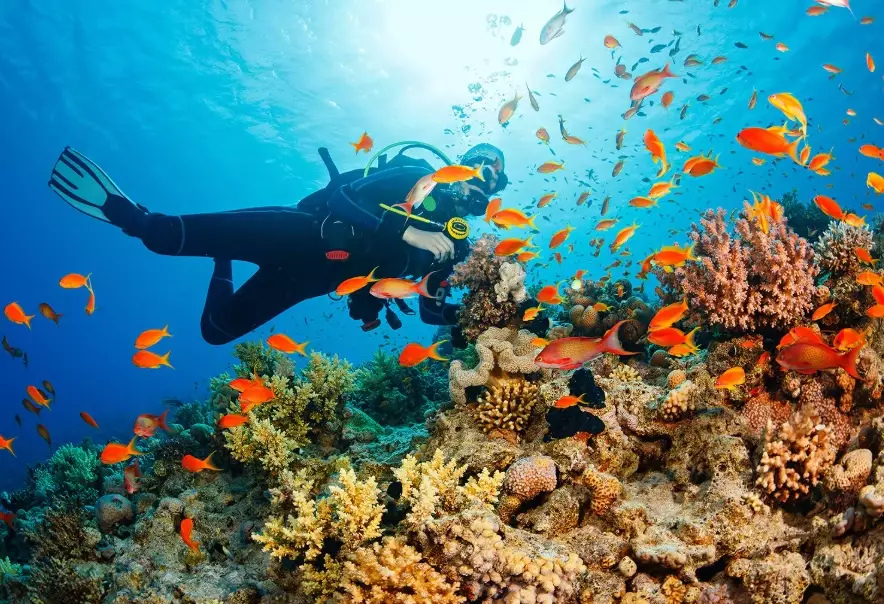 beginner scuba diving Thailand beginner scuba diving Thailand