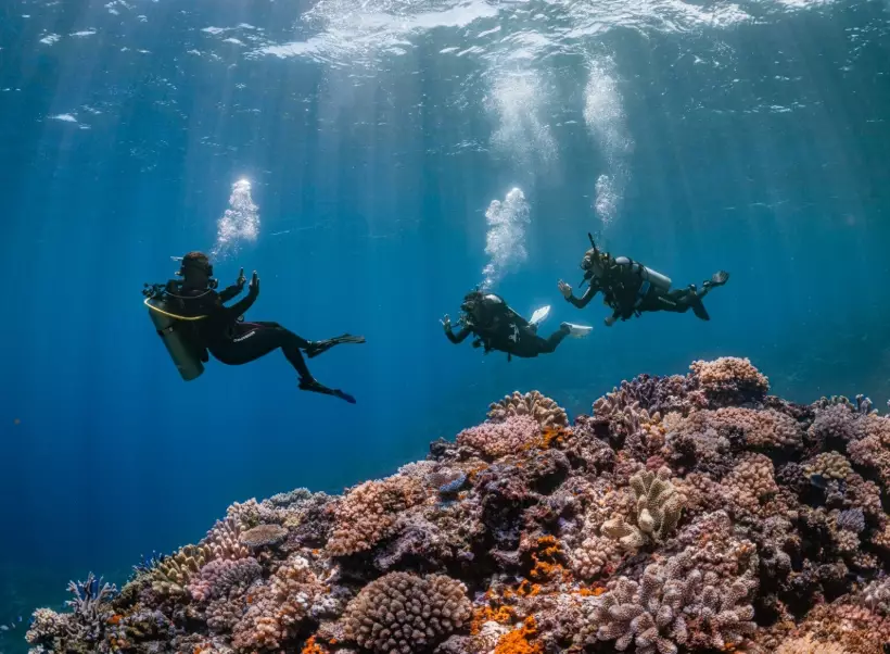 top dive sites in the world