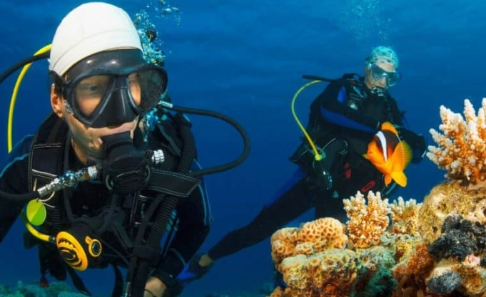 Philippines scuba diving Philippines scuba diving