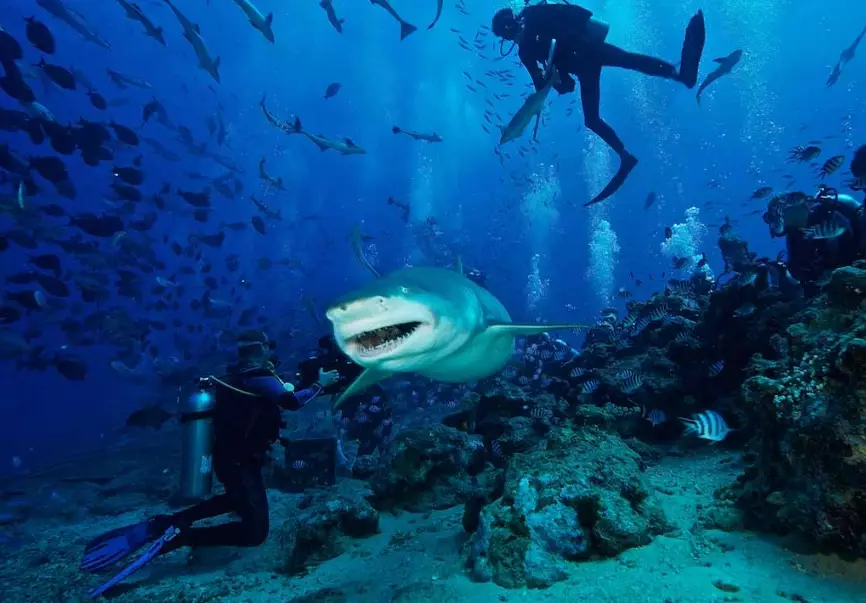 best scuba diving destinations