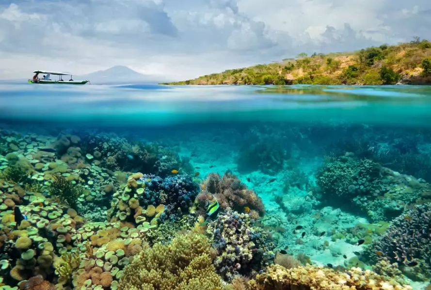 is Philippines good for diving is Philippines good for diving