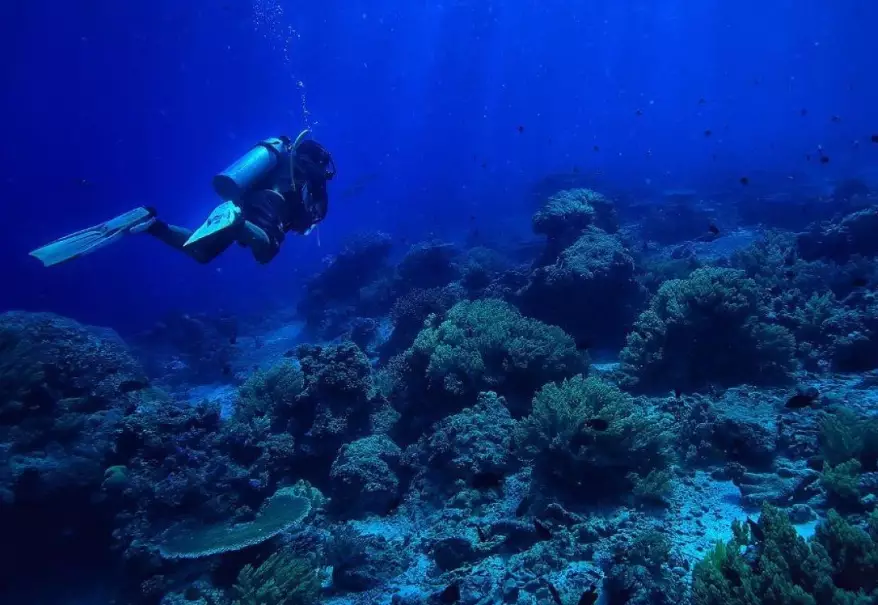 scuba diving vacations