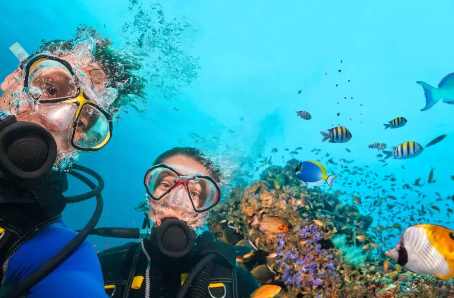 scuba diving vacations