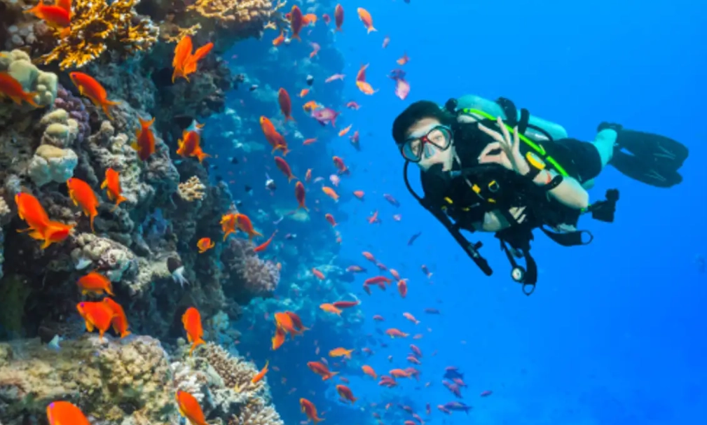 is Philippines good for diving is Philippines good for diving