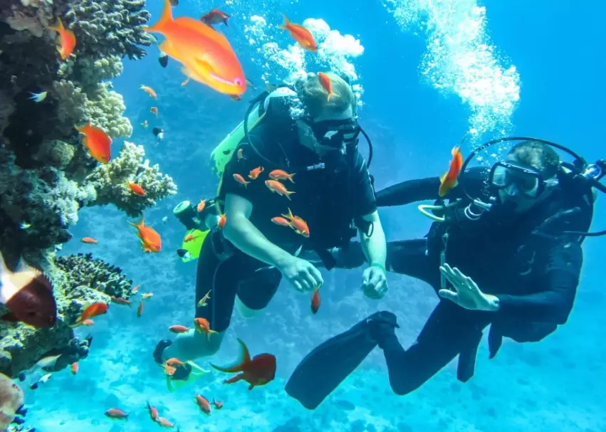 top dive sites in the world