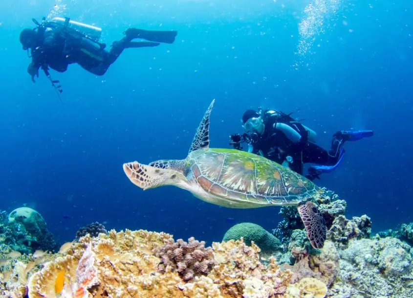 best dive sites Philippines best dive sites Philippines