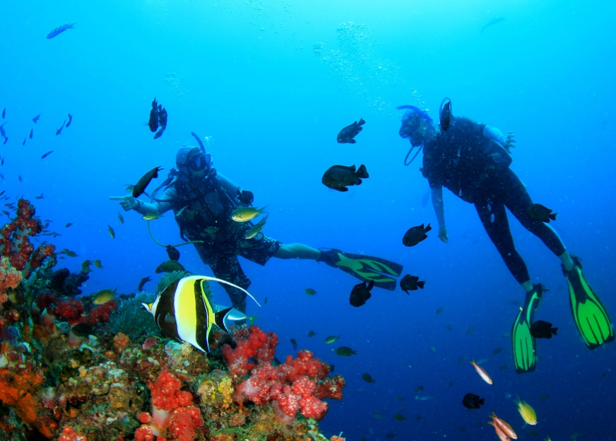 Philippines diving spots Philippines diving spots
