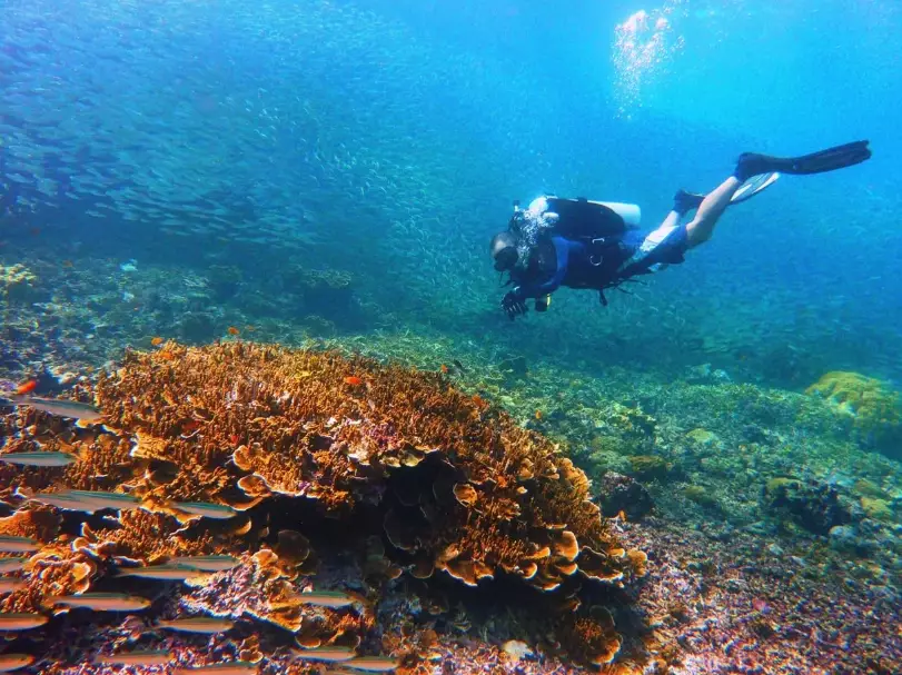 best diving in Philippines