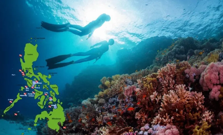 Philippines diving spots