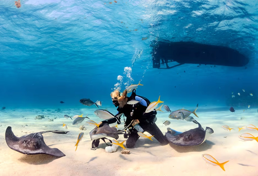 diving holiday planning diving holiday planning