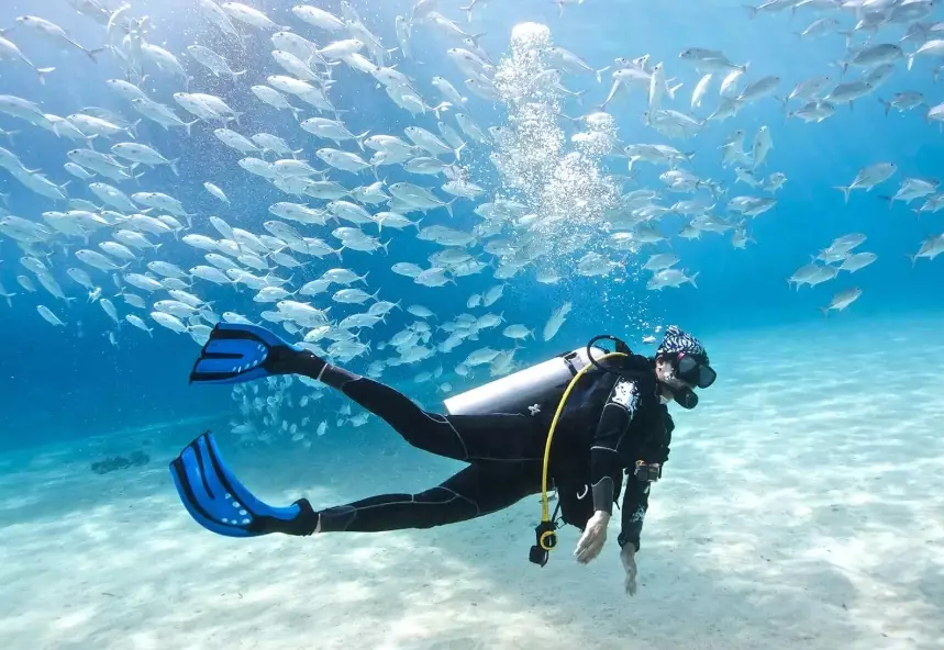 scuba diving travel guide scuba diving travel guide