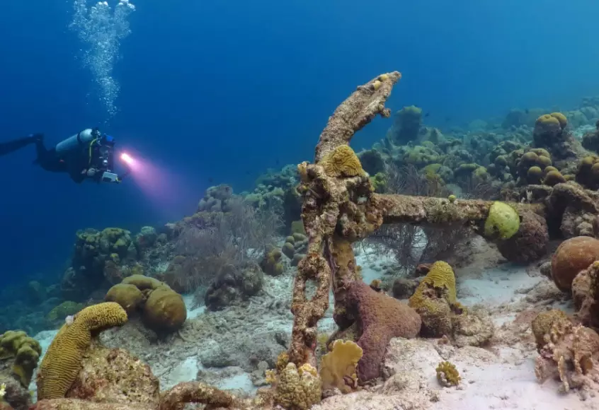 best diving in Mexico best diving in Mexico