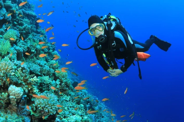 best diving in Caribbean best diving in Caribbean