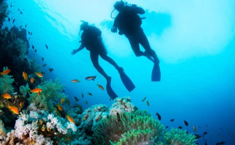 Cenote diving Cenote diving