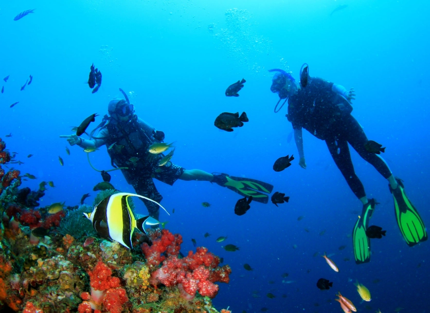 Philippines diving Philippines diving