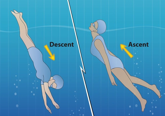 scuba diving techniques for beginners