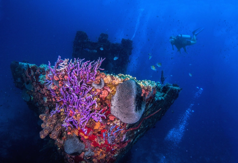 Scuba diving Bonaire