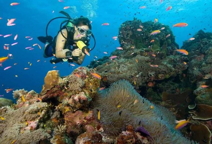 diving holiday planning diving holiday planning