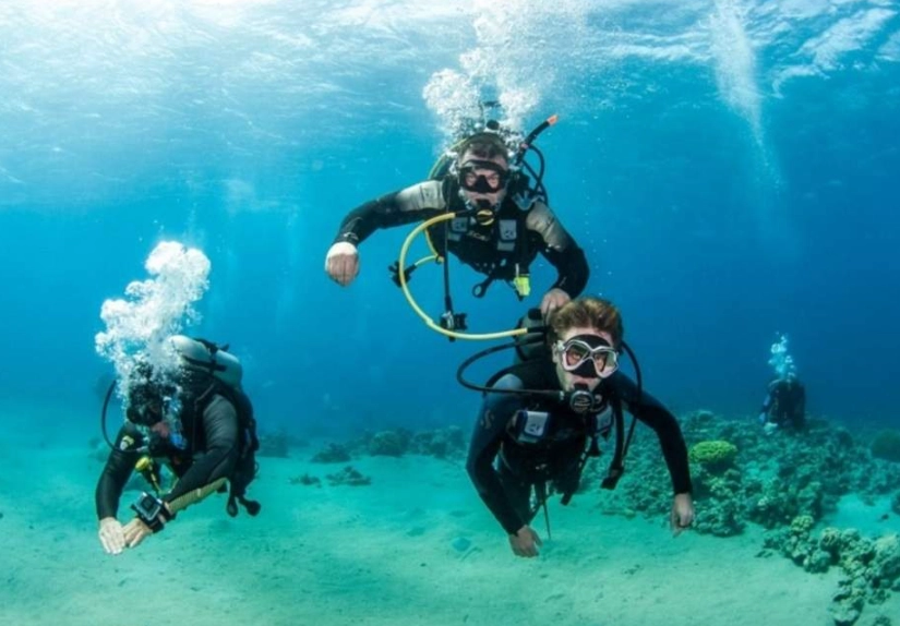 best diving Philippines beginner best diving Philippines beginner