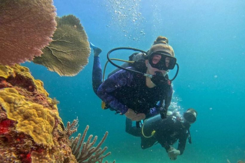 best time to dive in Mexico best time to dive in Mexico