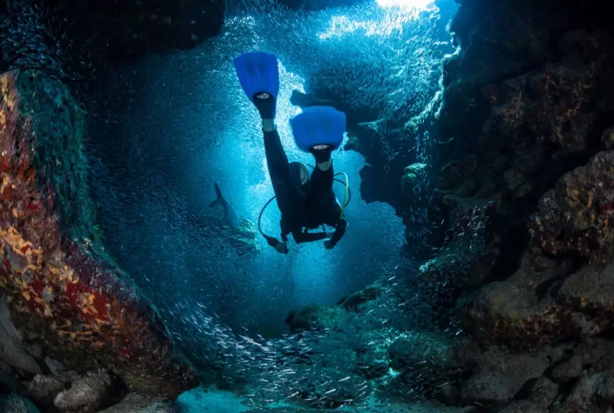 best diving in Caribbean best diving in Caribbean