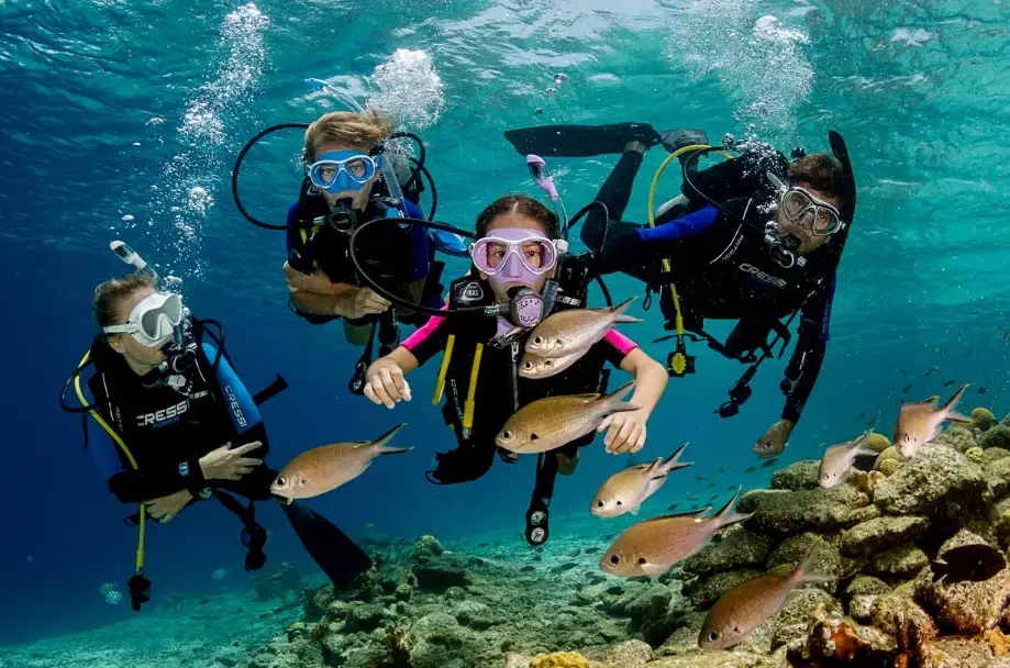 best diving travel tips best diving travel tips