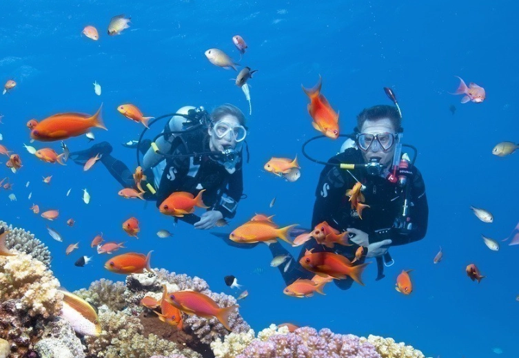 best dive site Philippines best dive site Philippines