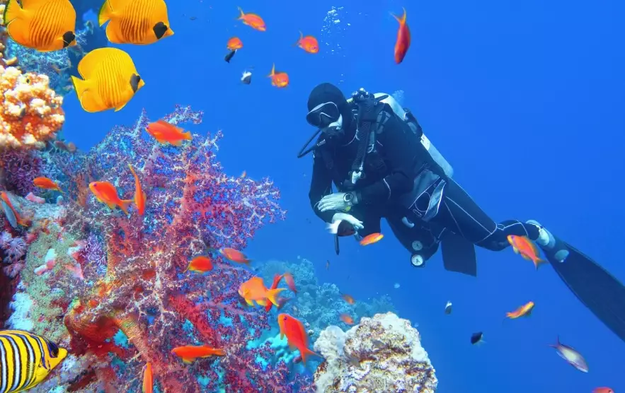 decompression sickness flying decompression sickness flying