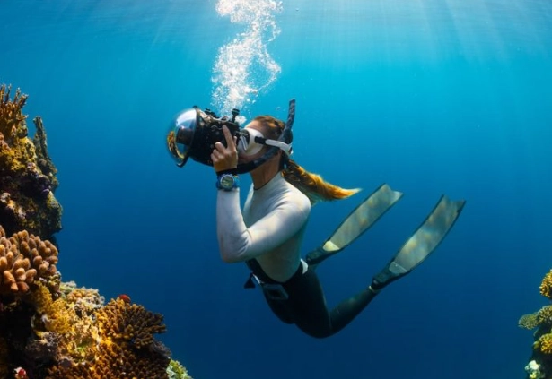 golden rule of diving golden rule of diving