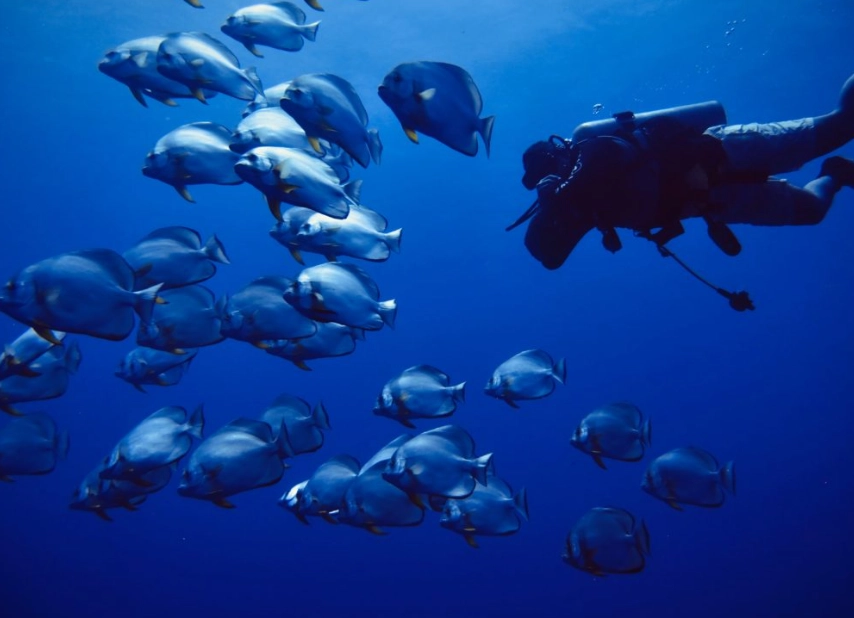 scuba diving and flying regulations scuba diving and flying regulations