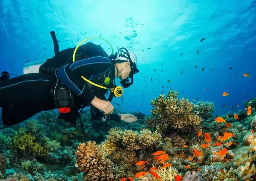 Philippines diving weather Philippines diving weather