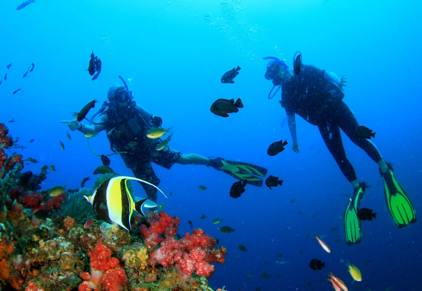 Philippines diving weather Philippines diving weather