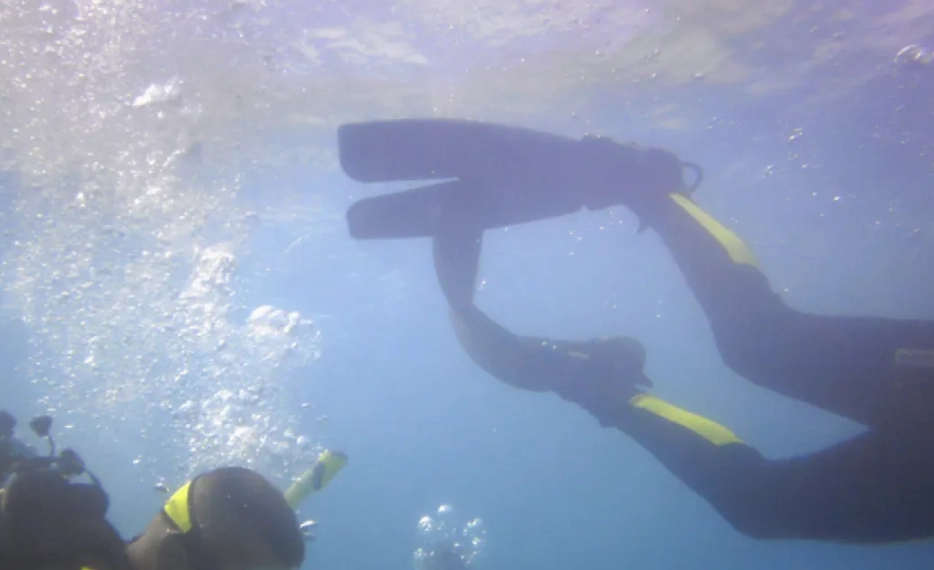 diving accidents diving accidents