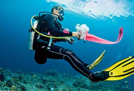 prevent diving accidents prevent diving accidents