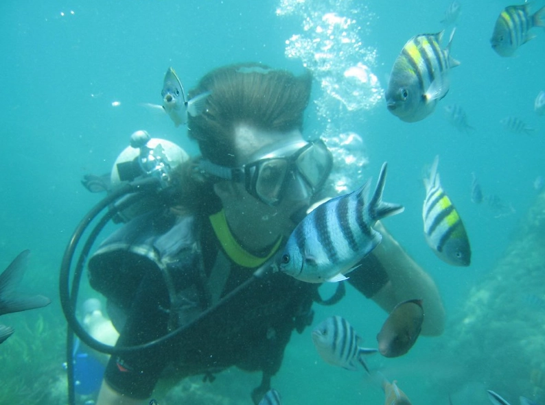 prevent diving accidents prevent diving accidents