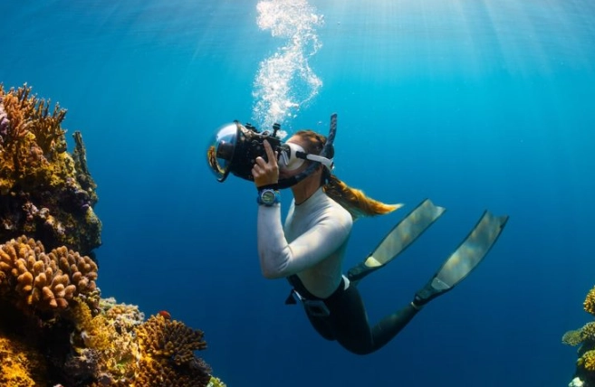 golden rule of diving golden rule of diving