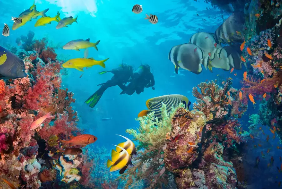 top dive sites Caribbean
