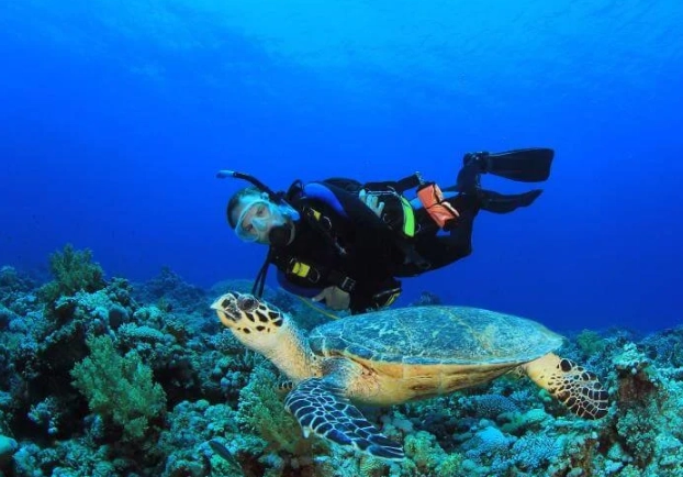 best dive sites Mexico best dive sites Mexico