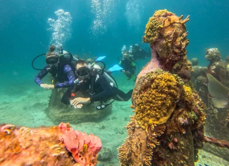 best dive sites Mexico best dive sites Mexico