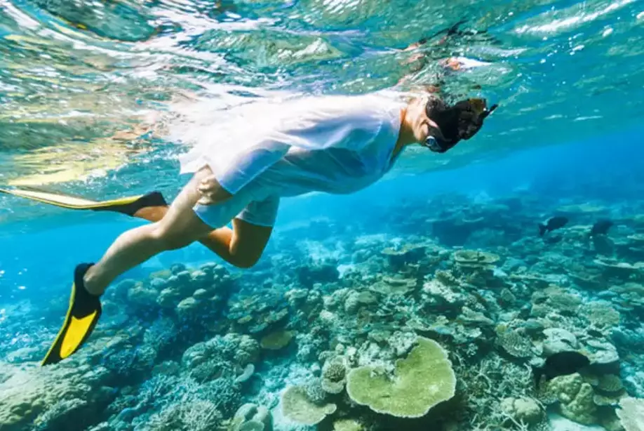 Philippines diving season Philippines diving season