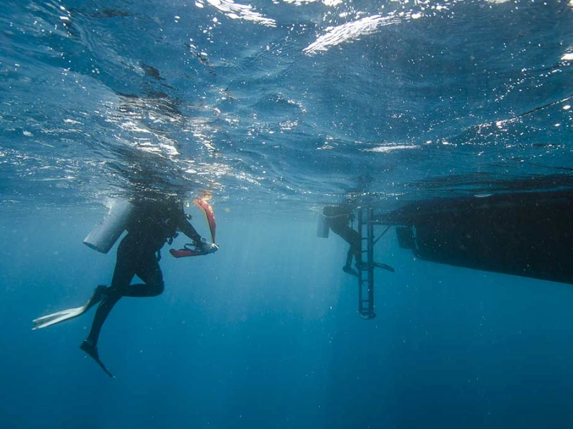 diving accident prevention