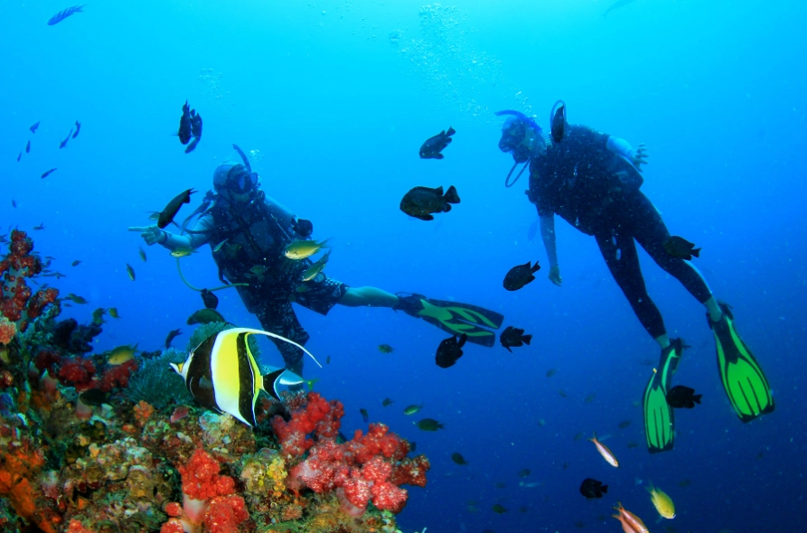 dry season diving Philippines dry season diving Philippines