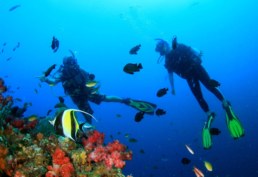 best time to dive in Philippines best time to dive in Philippines